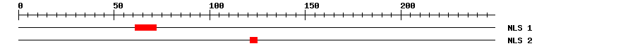 NLS