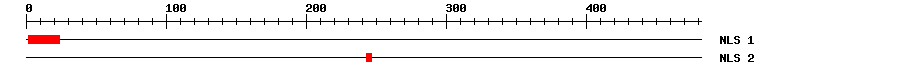 NLS
