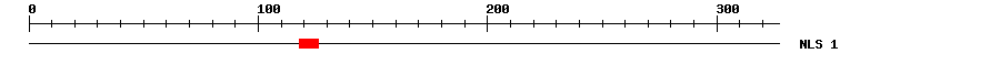 NLS