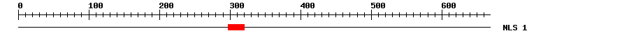 NLS