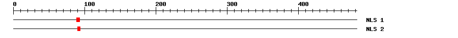 NLS