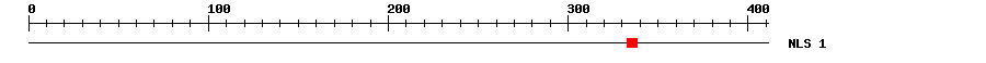 NLS