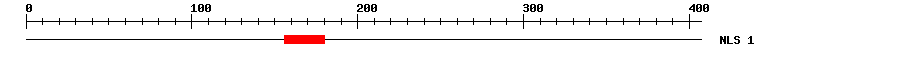 NLS