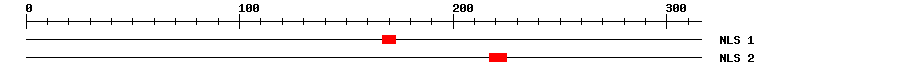 NLS
