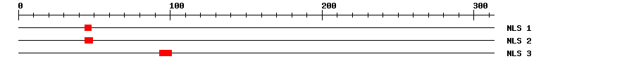NLS