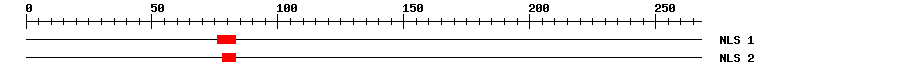 NLS