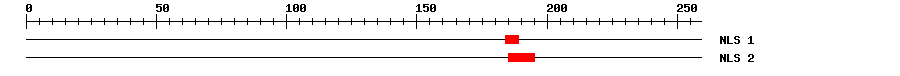 NLS