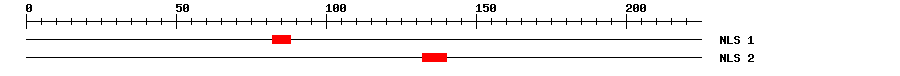 NLS