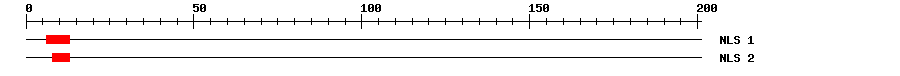 NLS