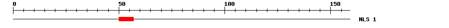 NLS