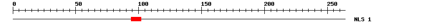 NLS