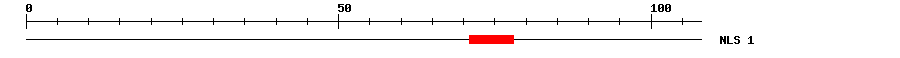 NLS