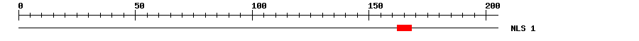 NLS