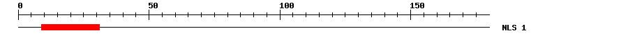 NLS