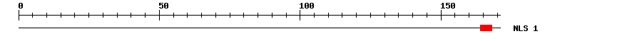 NLS