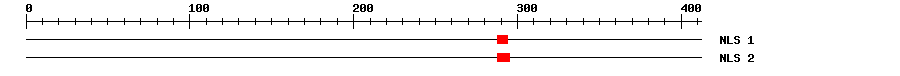 NLS
