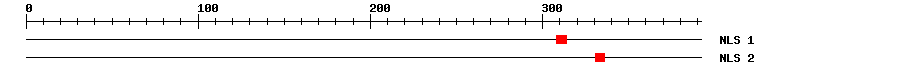 NLS