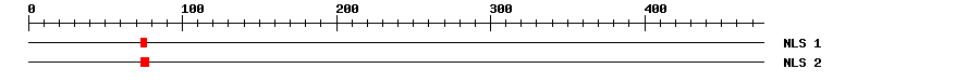 NLS