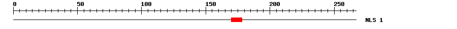 NLS