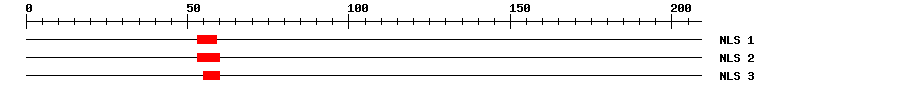 NLS