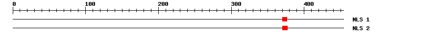 NLS