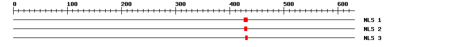 NLS