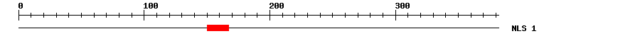 NLS