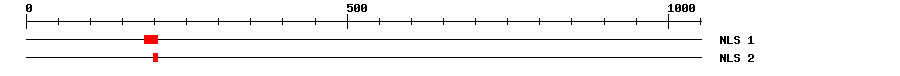 NLS