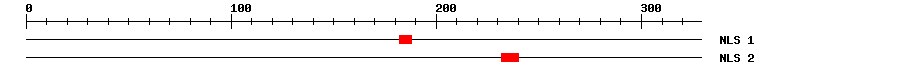NLS