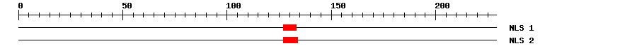 NLS