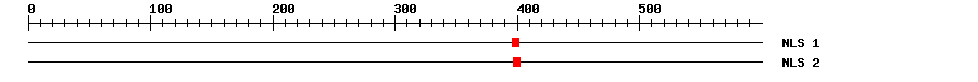 NLS