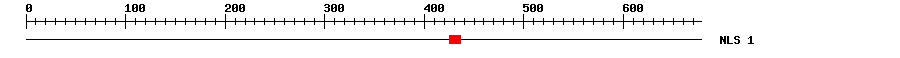 NLS