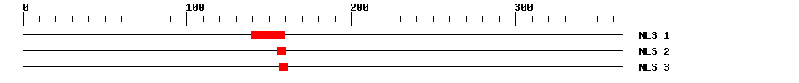 NLS