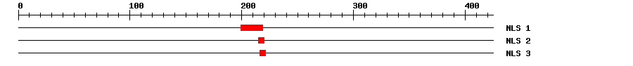 NLS
