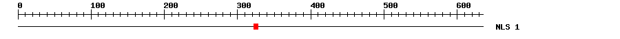 NLS
