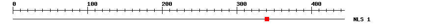 NLS