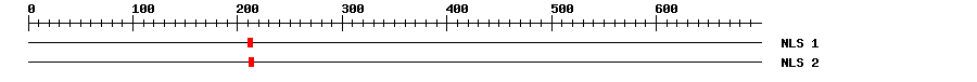 NLS