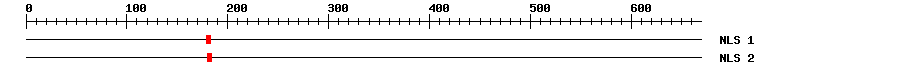 NLS