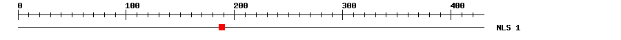 NLS