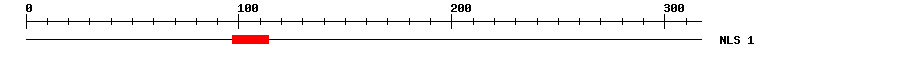 NLS