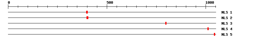 NLS