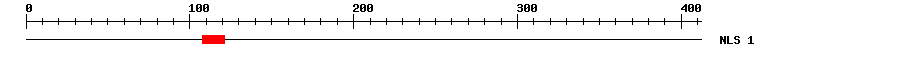 NLS