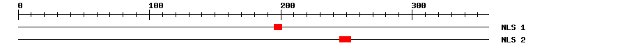 NLS