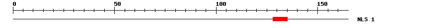 NLS