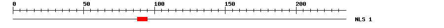 NLS