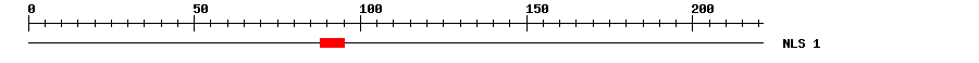 NLS