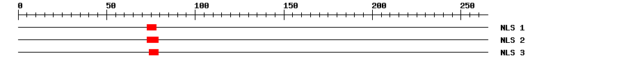 NLS