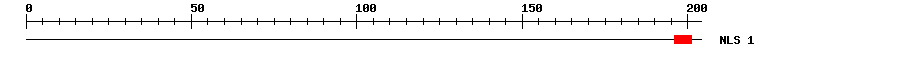 NLS