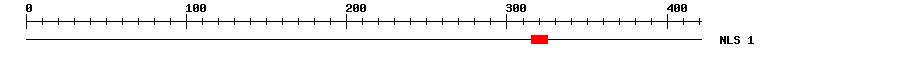 NLS