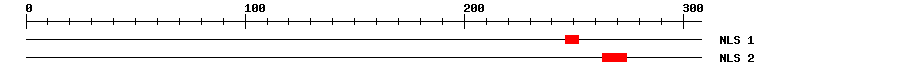 NLS